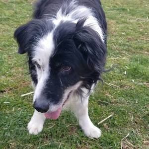 Meet your Posher, Ann